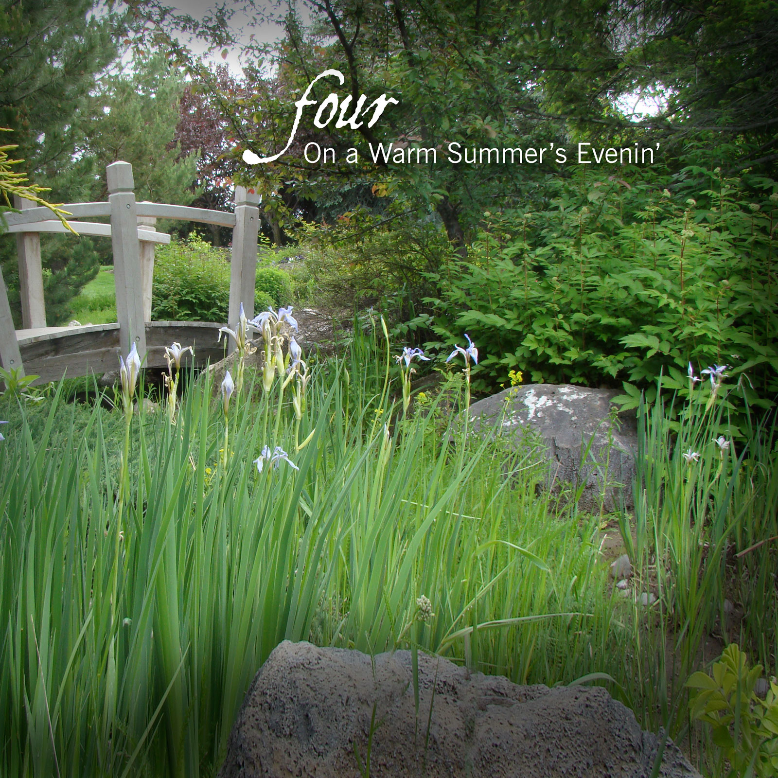 On a Warm Summer's Evenin'